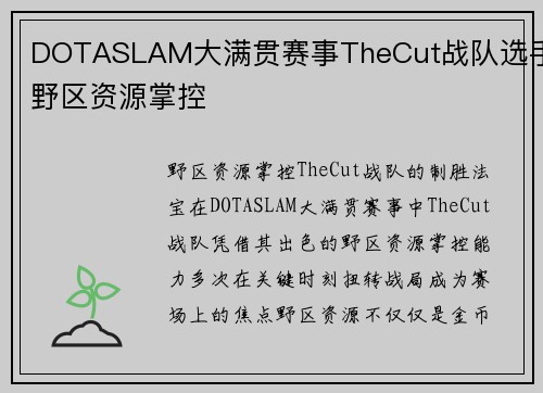 DOTASLAM大满贯赛事TheCut战队选手野区资源掌控