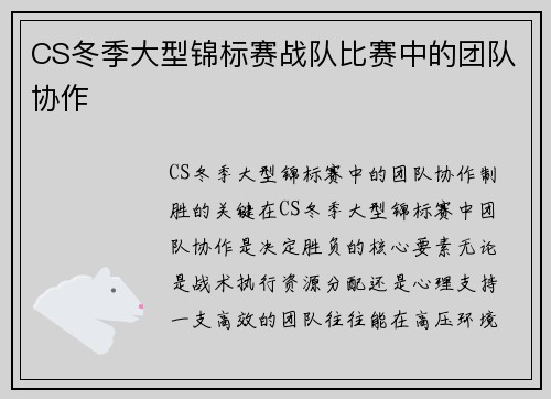 CS冬季大型锦标赛战队比赛中的团队协作